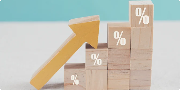 Whitebox ZinsPortfolio