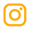 Social Icon-Instagram