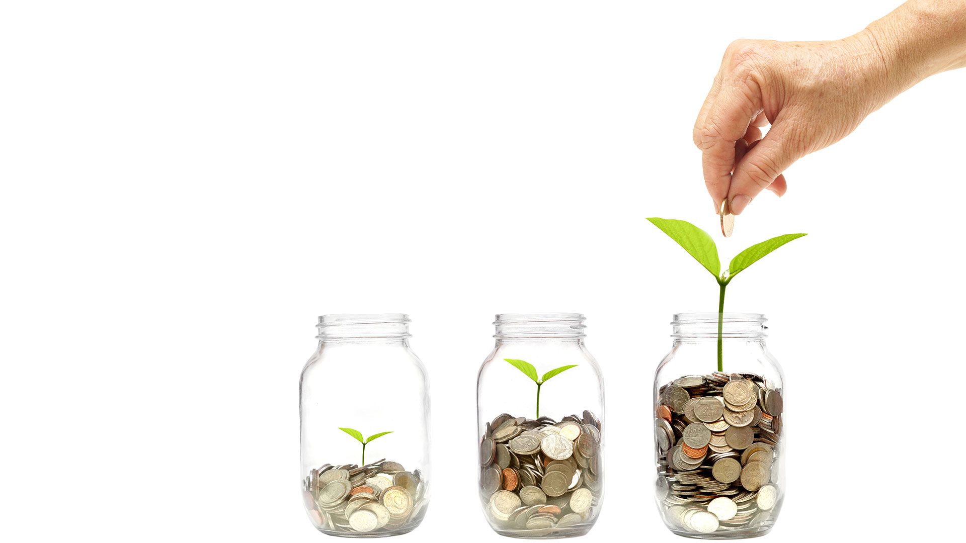 Sparsam Leben Finanziell Frei Und Unabhangig Werden Whitebox